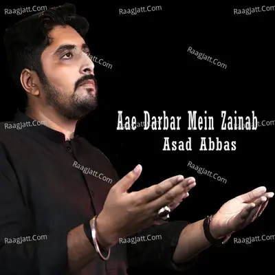 Aae Darbar Mein Zainab Cover