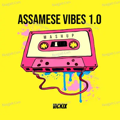 ASSAMESE VIBES 1.0 Mashup