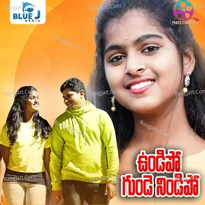 Pavani Vaasa Image