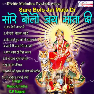 Sare Bolo Jai Mata Di Poster