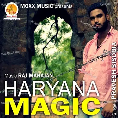 Haryana Magic Poster