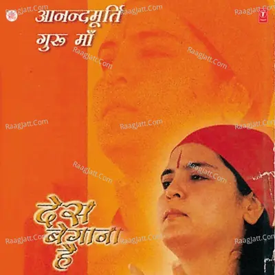 Des Begana Hai Poster