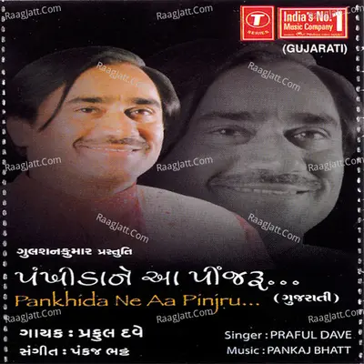 Pankhida Ne Aa Pinjru - Praful  Dave
