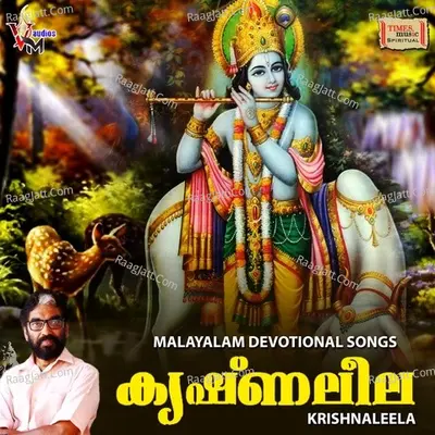 Krishna Leela Poster