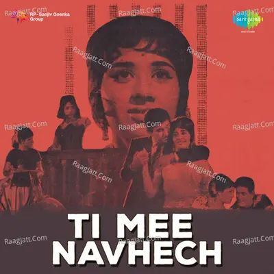 Tee Mee Navhech Poster