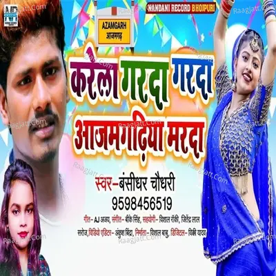 Vishal Raj Image
