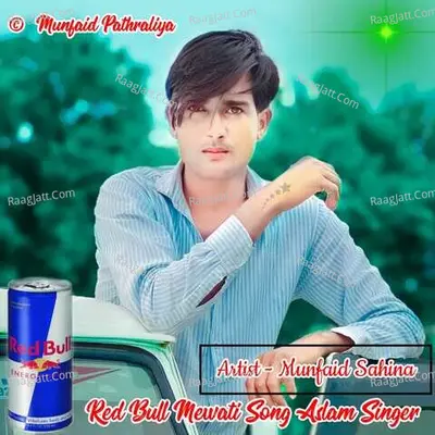 Munfaid Sahina Image