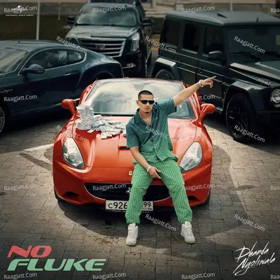 No Fluke Cover