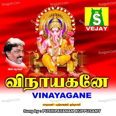 Vinayagane - Pushpavanam K Kuppusamy