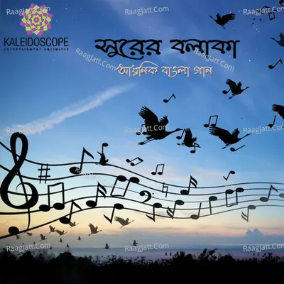 Surer Bolaka Poster