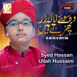 Wo Soye Lala Zaar Phirte Hain - Single