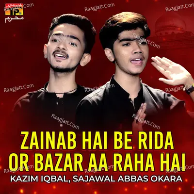 Zainab Hai Be Rida Or Bazar Aa Raha Hai - Single