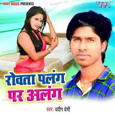Rowata Palang Par Alang Cover