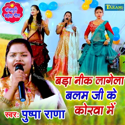 Bada Nik Lagela Balam Ji Ke Korwa Mein
