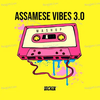 ASSAMESE VIBES 3.0 Mashup