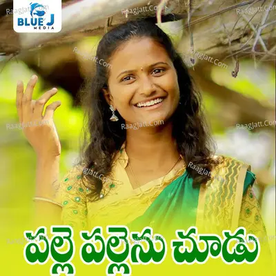 Palle Pallenu Chudu Cover