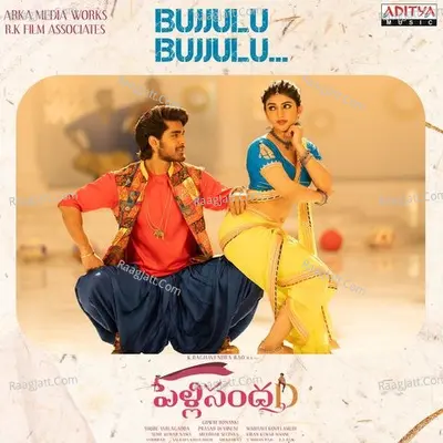 Pelli SandaD Poster