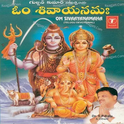 Om Sivaayanamaha - S. P. Balasubrahmanyam