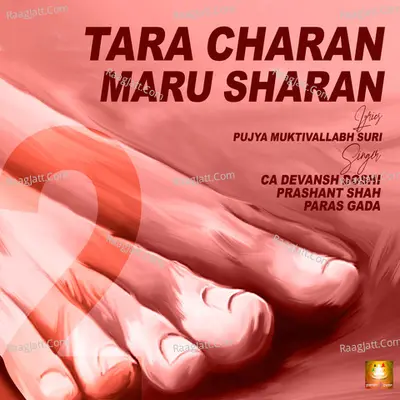 Tara Charan Maru Sharan, Pt. 2 Cover