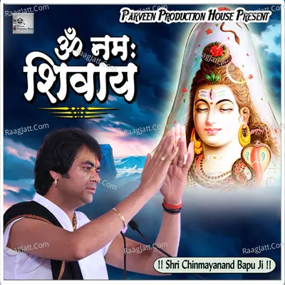 Om Namah Shivaya Poster
