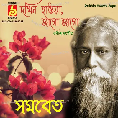 Dokhin Haowa Jago Cover