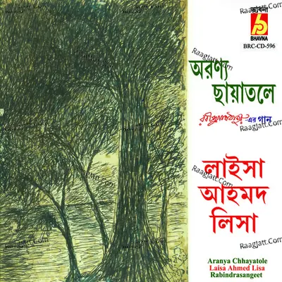 Aronya Chhayatole Poster