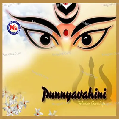 Punyavaahini - Girish.p
