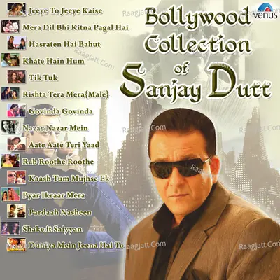 Bollywood Collection of Sanjay Dutt Poster