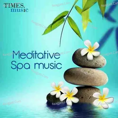Meditative Spa Music Poster