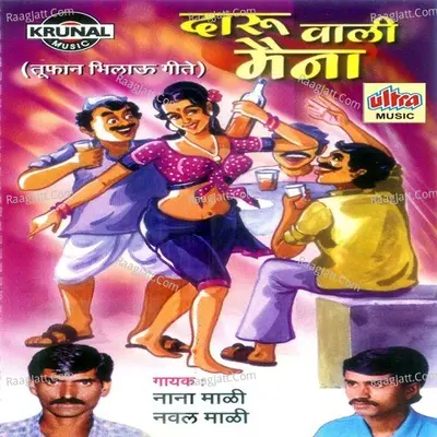 Daru Wali Maina - Nana Mali