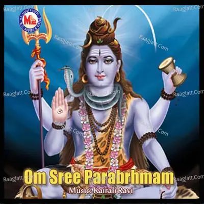 Om Sree Parabrahmam - Priye Menon