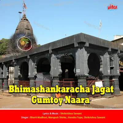 Bhimashankaracha Jagat Gumtoy Naara Cover