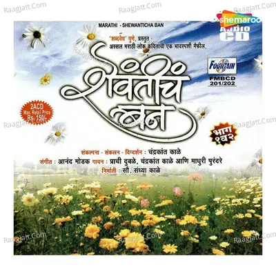 Shevtich Ban Cover