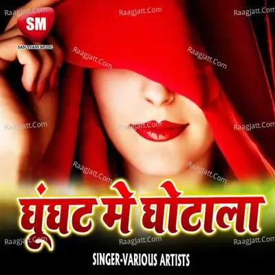 Ghunghat Me Ghotala Poster