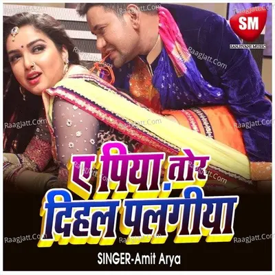 A Piya Tor Dihal Palangia Cover