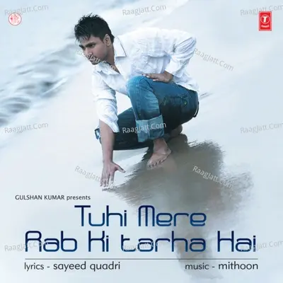 Tu Hi Mere Rab Ki Tarah Hai - Mithoon