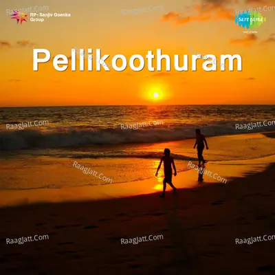 Pellikoothuram - M. L. Vasanth Kumari