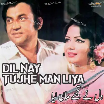 Dil Nay Tujhe Man Liya Poster