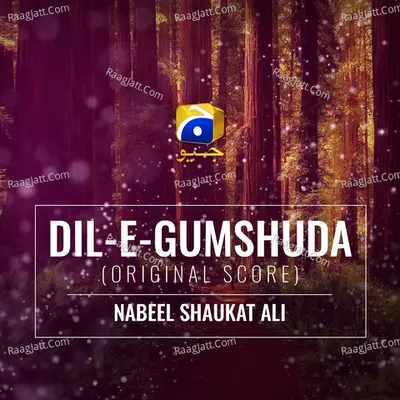 Dil-E-Gumshuda (Original Score) Cover