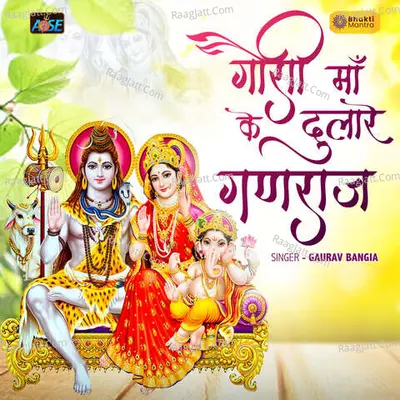 Gaurav Bangia Image