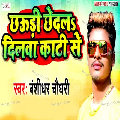 Chhaudi Chhedal Dilwa Kati Se Cover