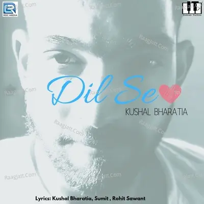Dil Se Cover