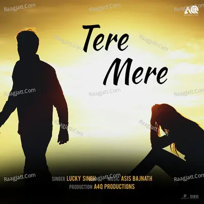 Tere Mere Cover