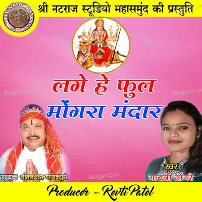 Lage He Phool Mongra Mandar Cover