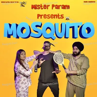 Mosquito Cover