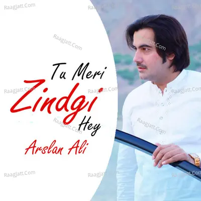 Tu Meri Zindgi Hey