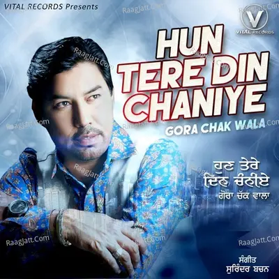 Hun Tere Din Chaniye Cover