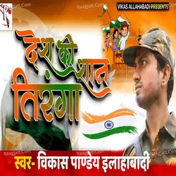 Vikash Pandey Allahabadi