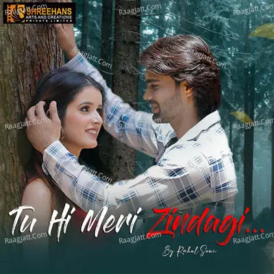 Tu Hi Meri Zindagi