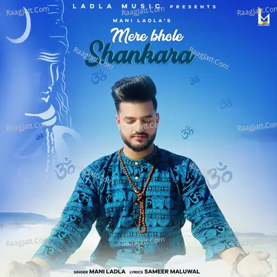 Mere Bhole Shankara Cover